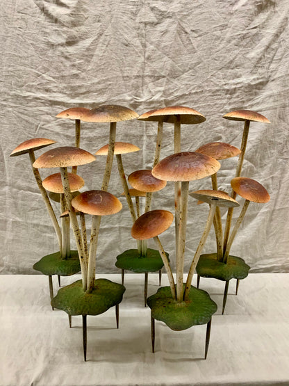 Garden Mushroom