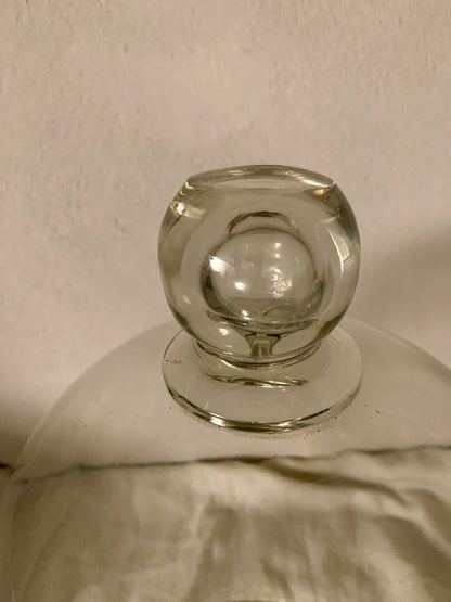 French Laboratory Glass Dome - Cloche