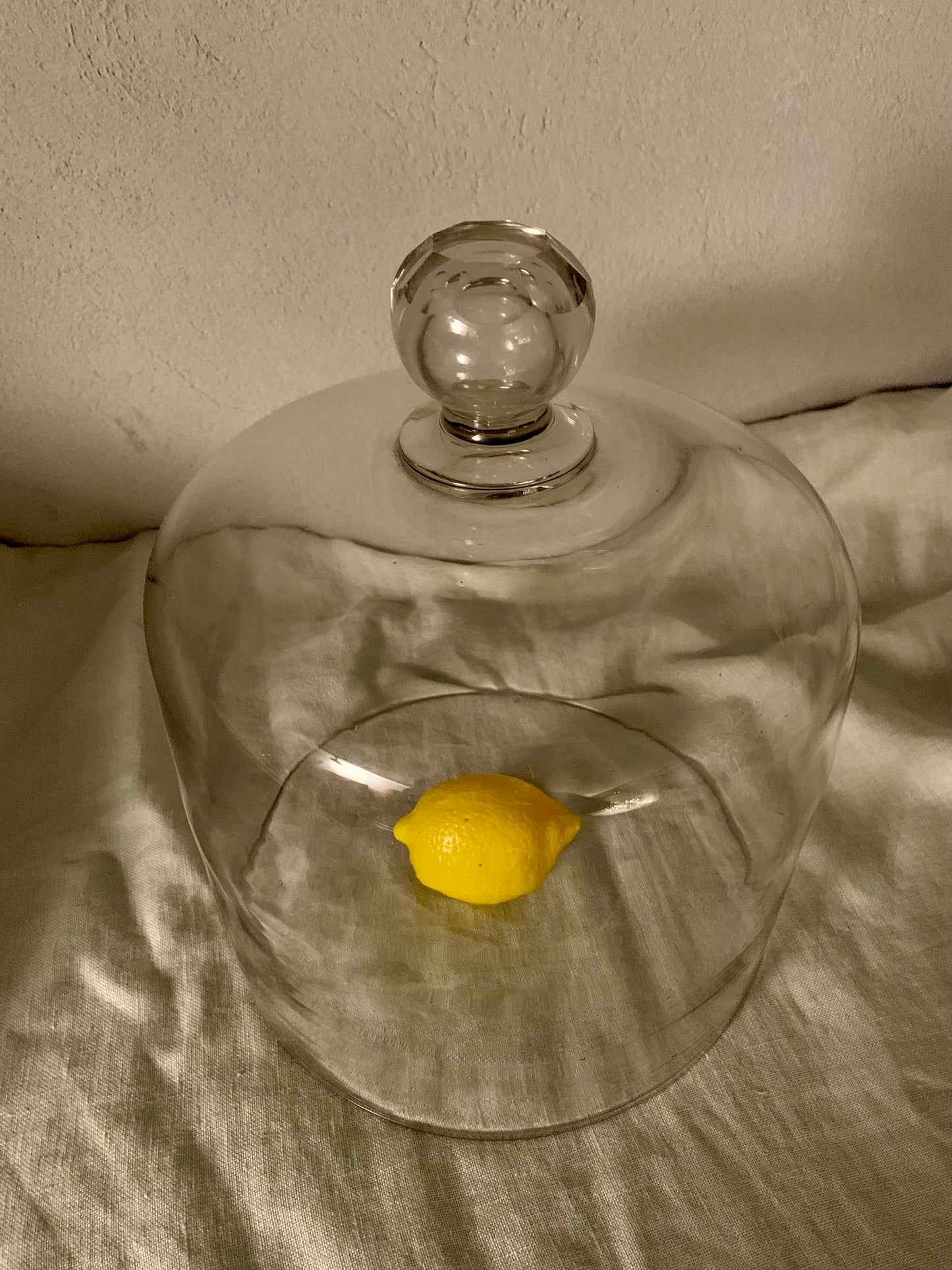 French Laboratory Glass Dome - Cloche