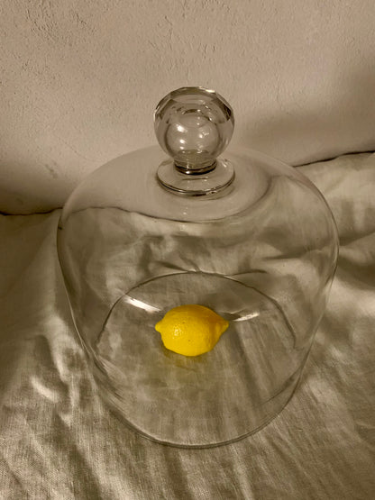 French Laboratory Glass Dome - Cloche