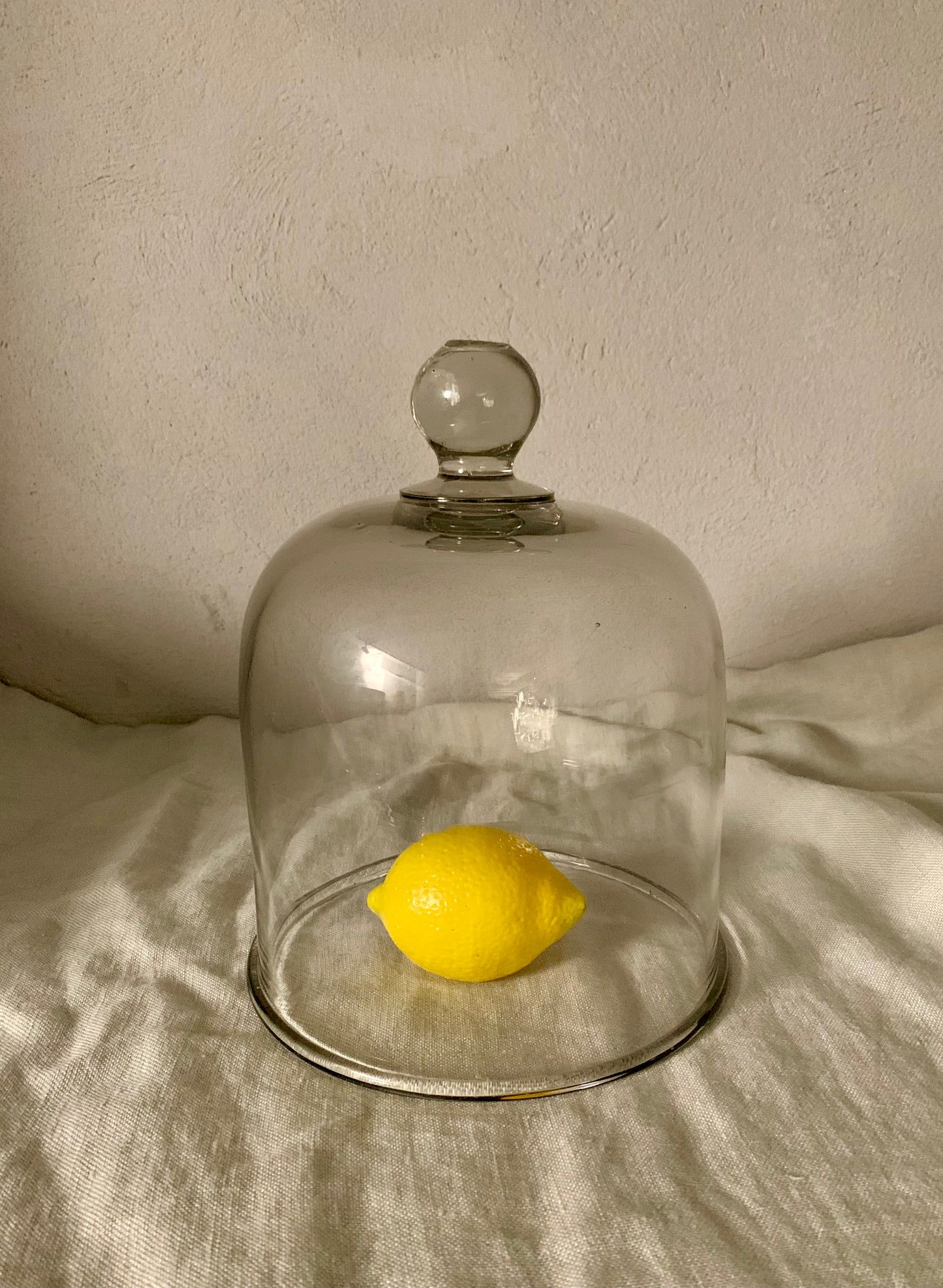 French Laboratory Glass Dome - Cloche