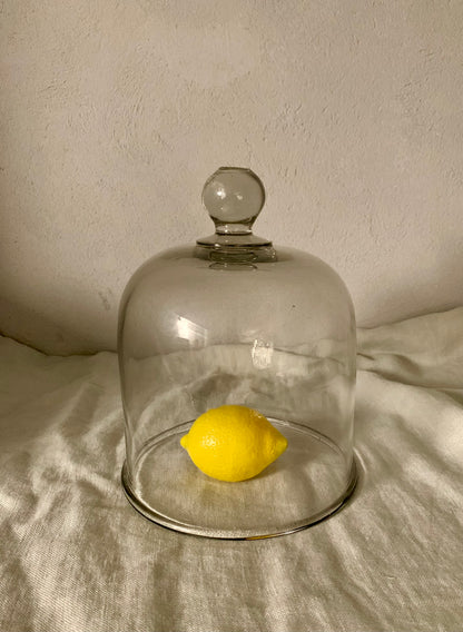 French Laboratory Glass Dome - Cloche