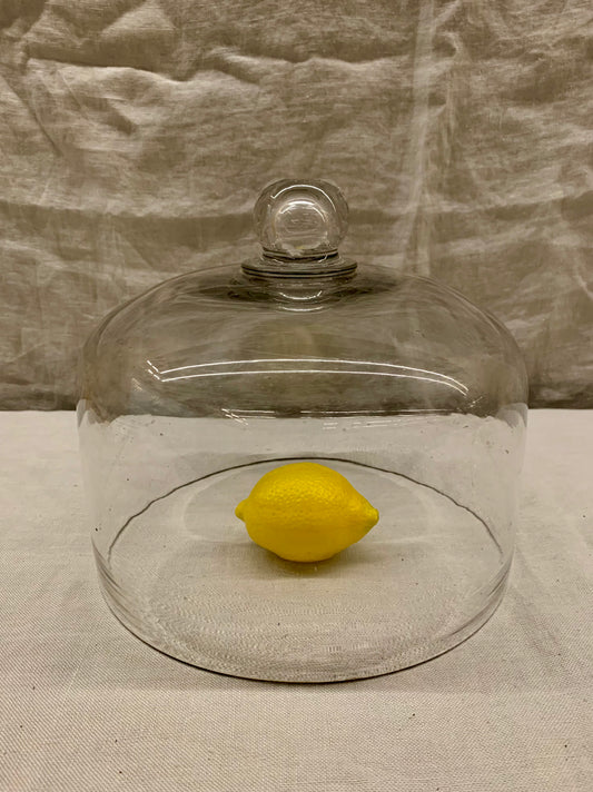 Glass Dome - Cloche