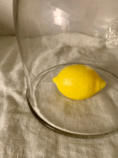 French Laboratory Glass Dome - Cloche