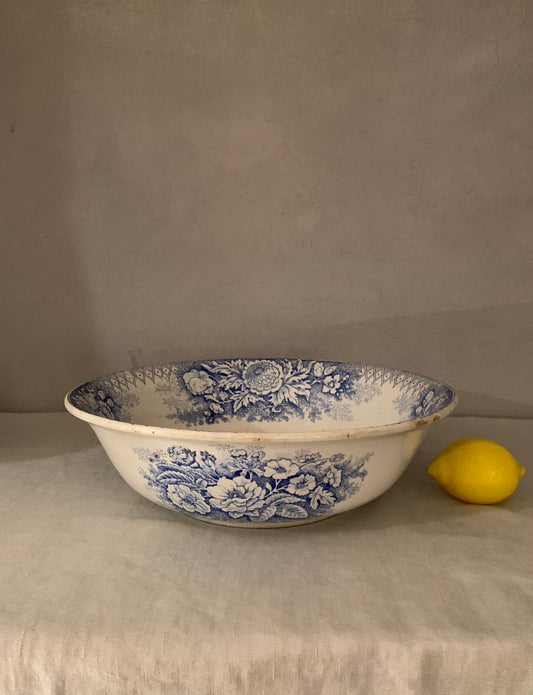 Salad Bowl