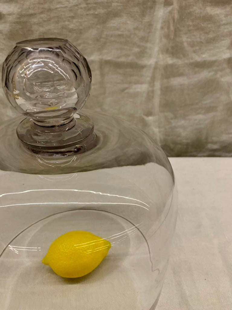 Glass Dome - Cloche