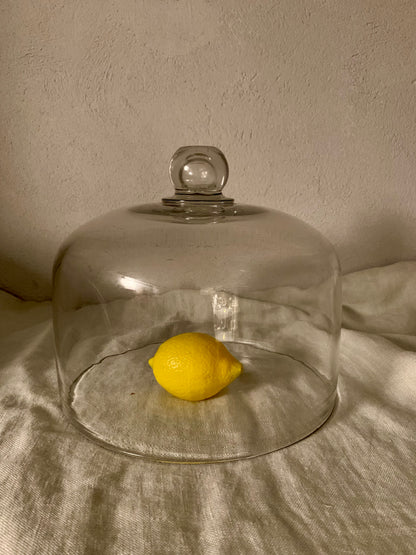 French Laboratory Glass Dome