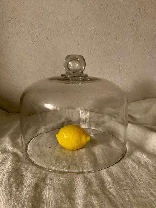 French Laboratory Glass Dome