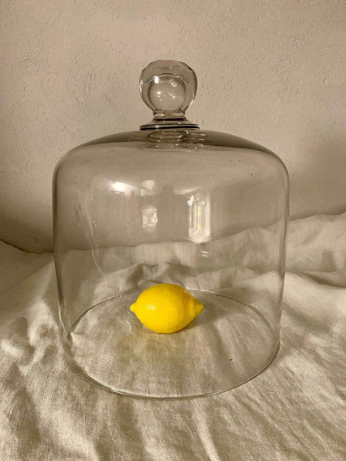 French Laboratory Glass Dome - Cloche