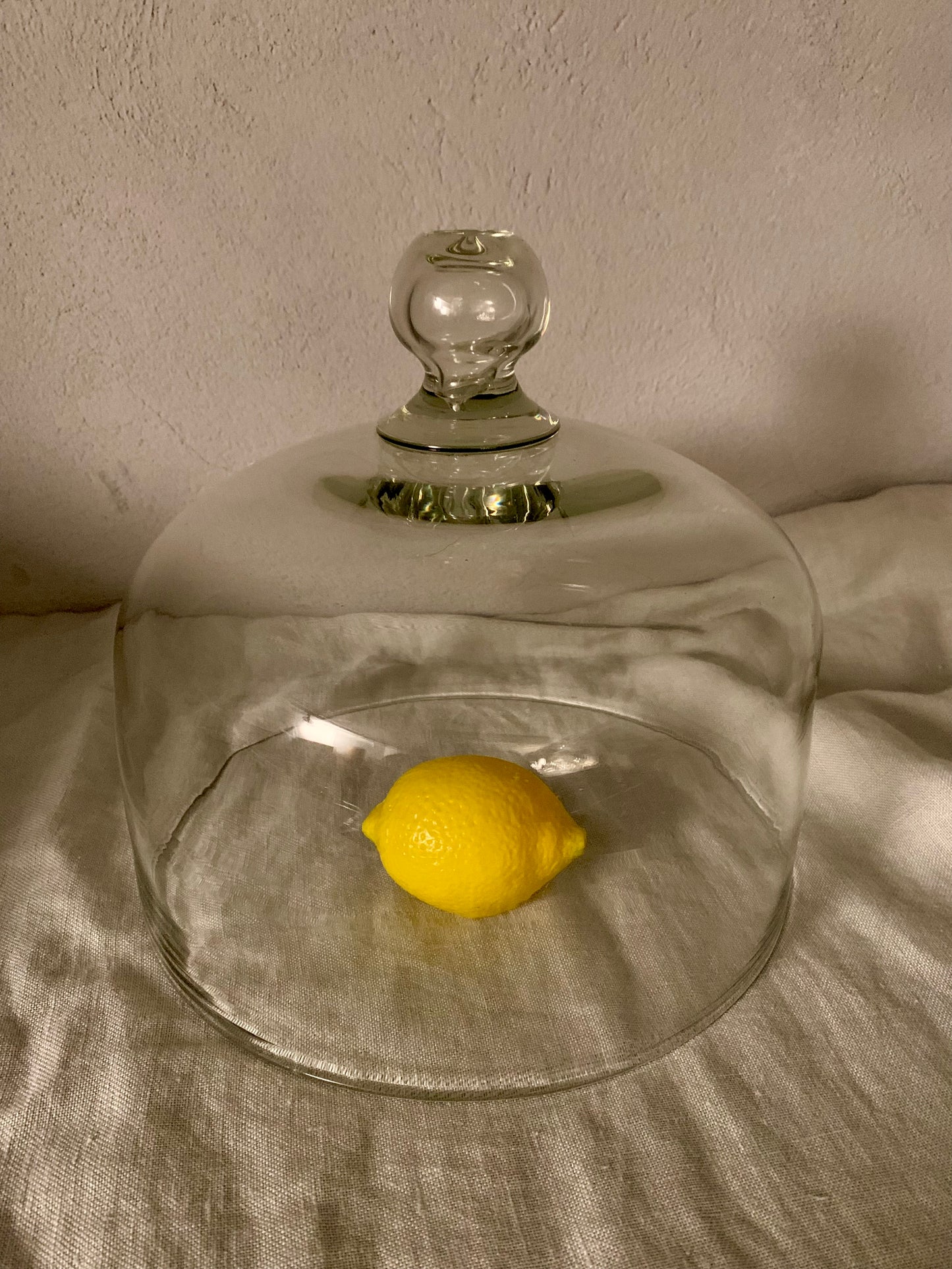 French Laboratory Glass Dome
