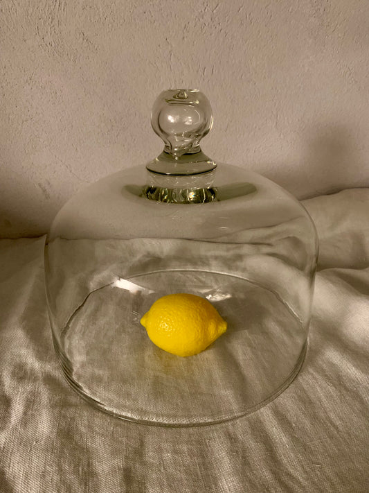 French Laboratory Glass Dome