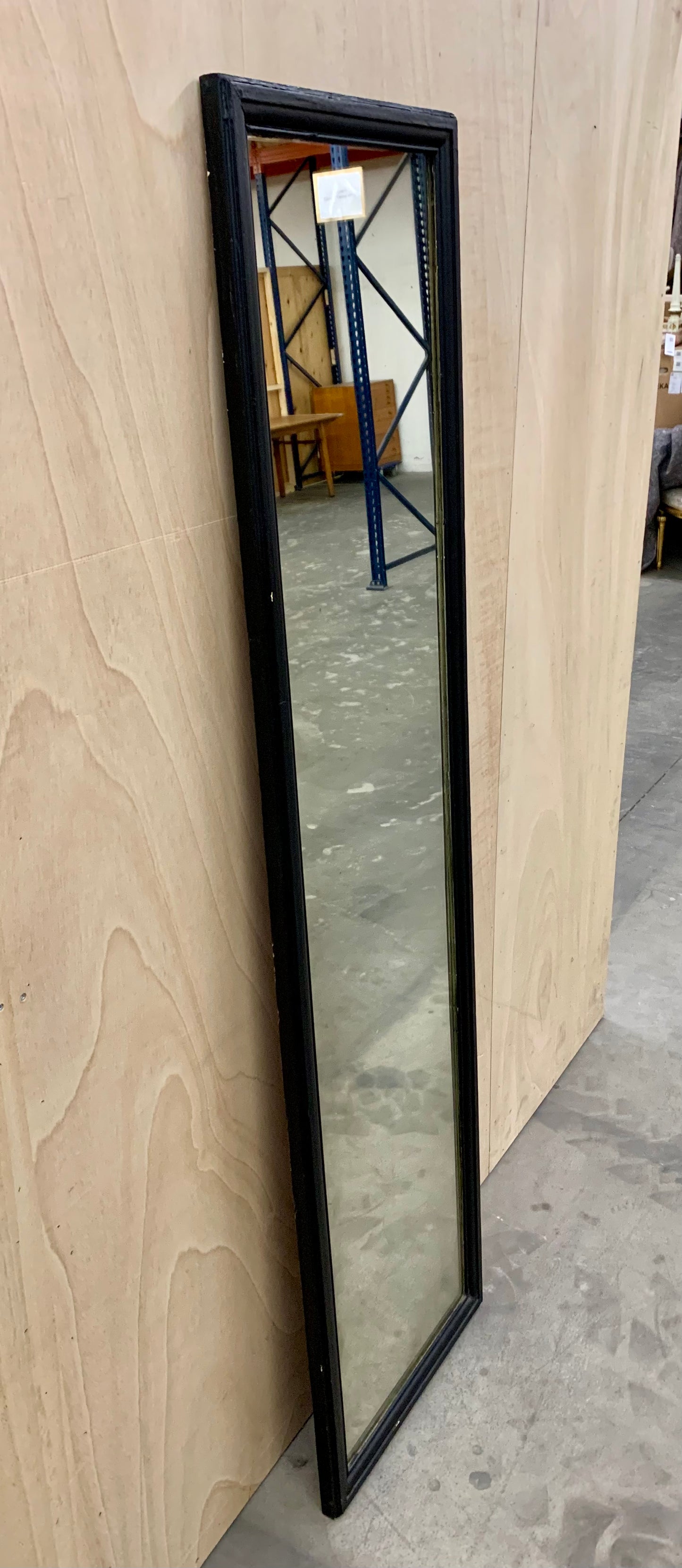 Tall Full Figure Mirror