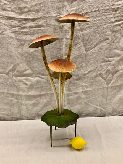 Garden Mushroom