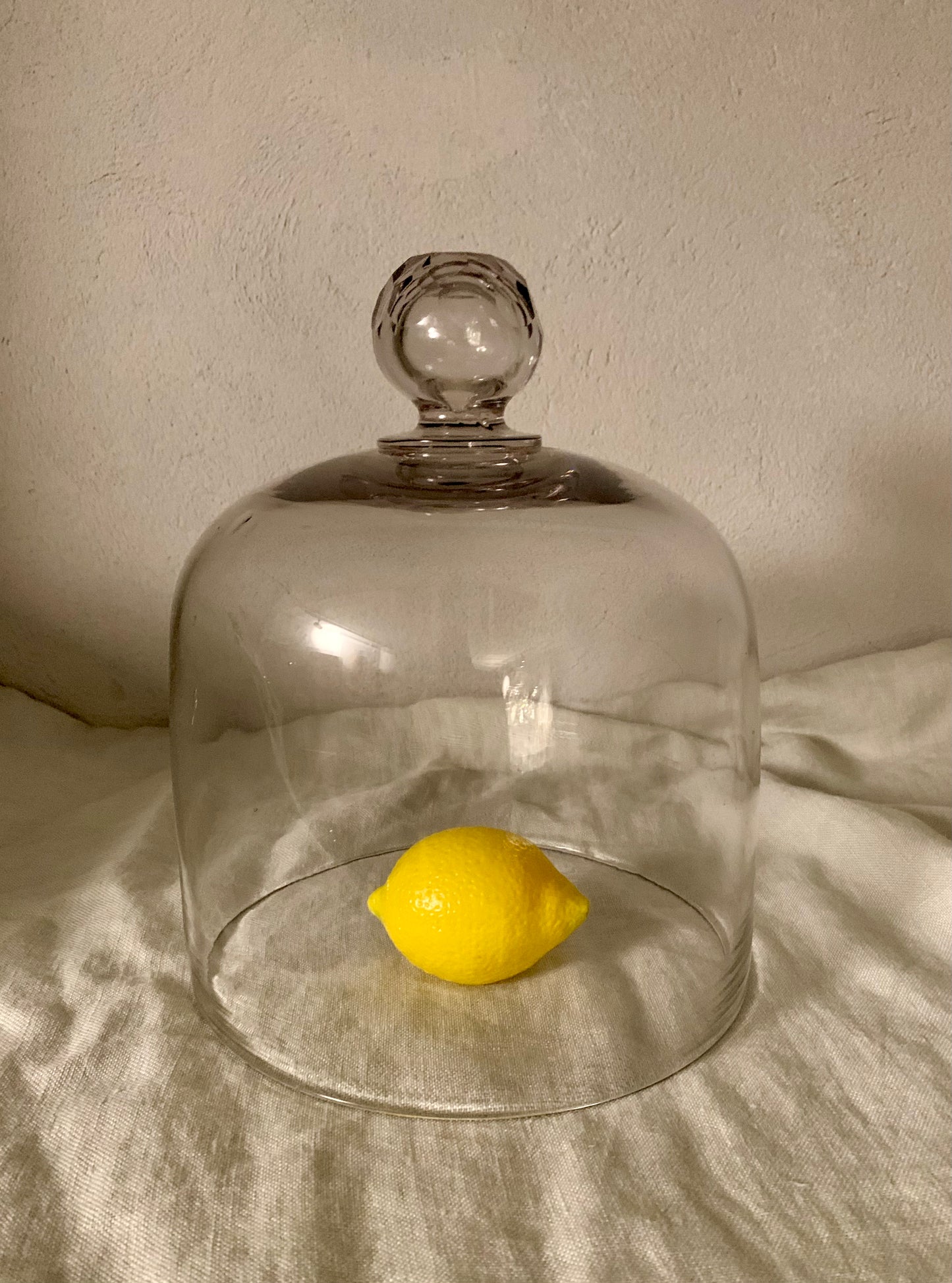 French Laboratory Glass Dome - Cloche
