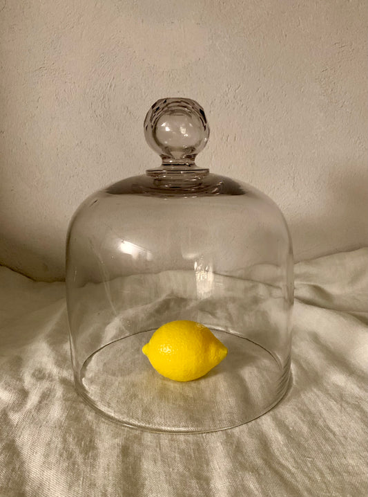 French Laboratory Glass Dome - Cloche