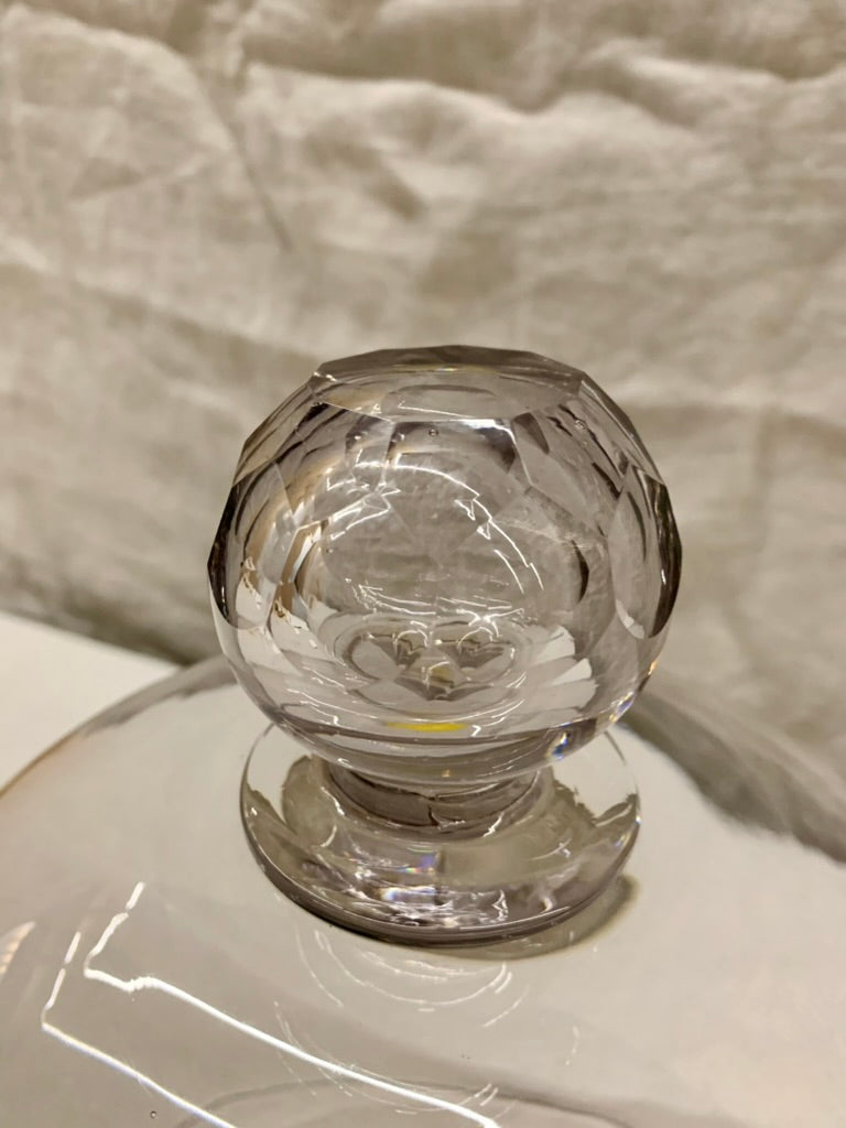 Glass Dome - Cloche