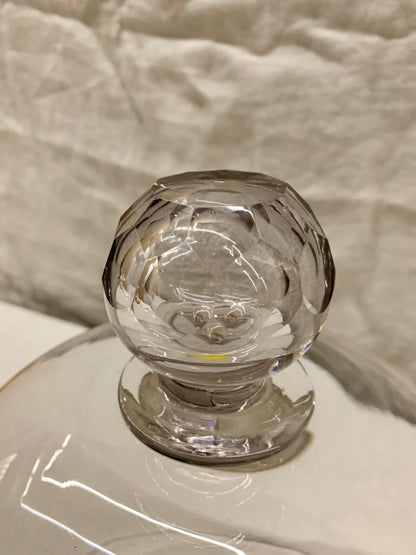 Glass Dome - Cloche