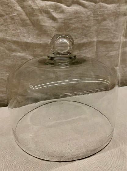 Glass Dome - Cloche