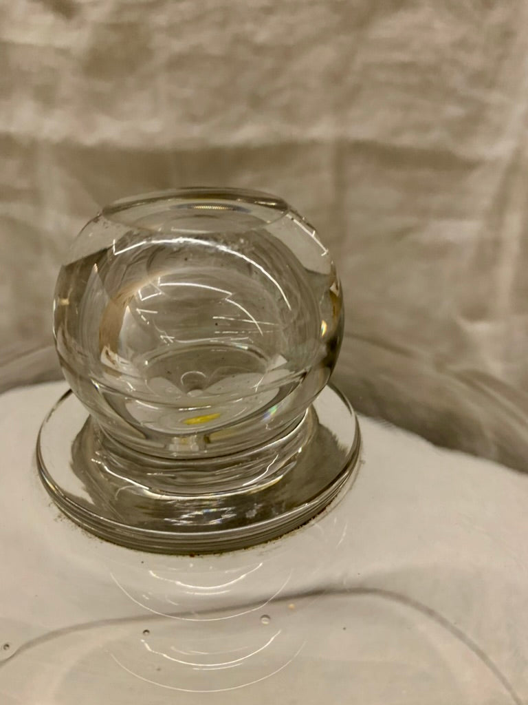 Glass Dome - Cloche