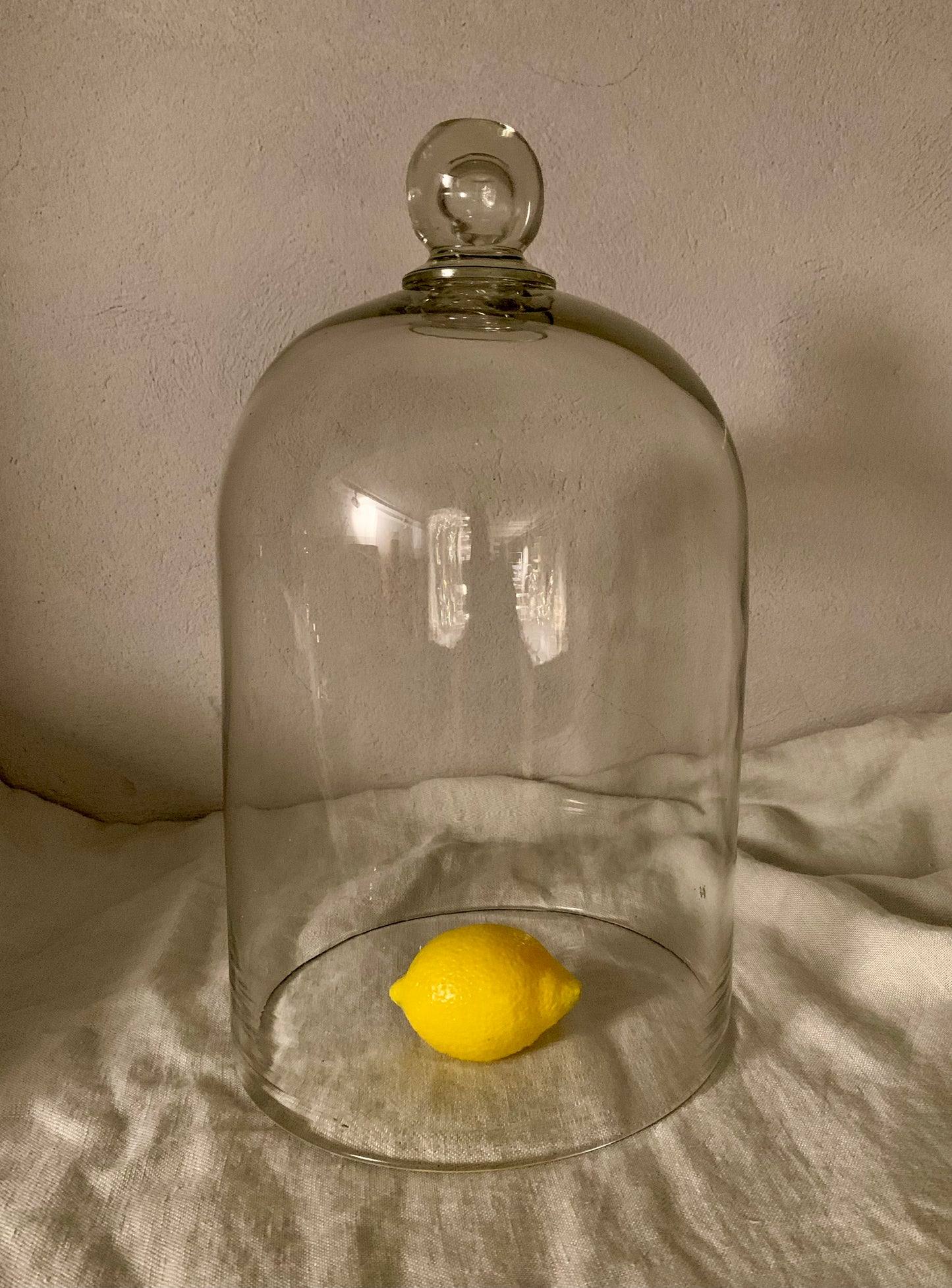 French Laboratory Glass Dome - Cloche