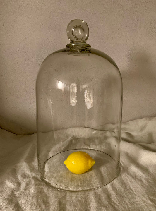 French Laboratory Glass Dome - Cloche