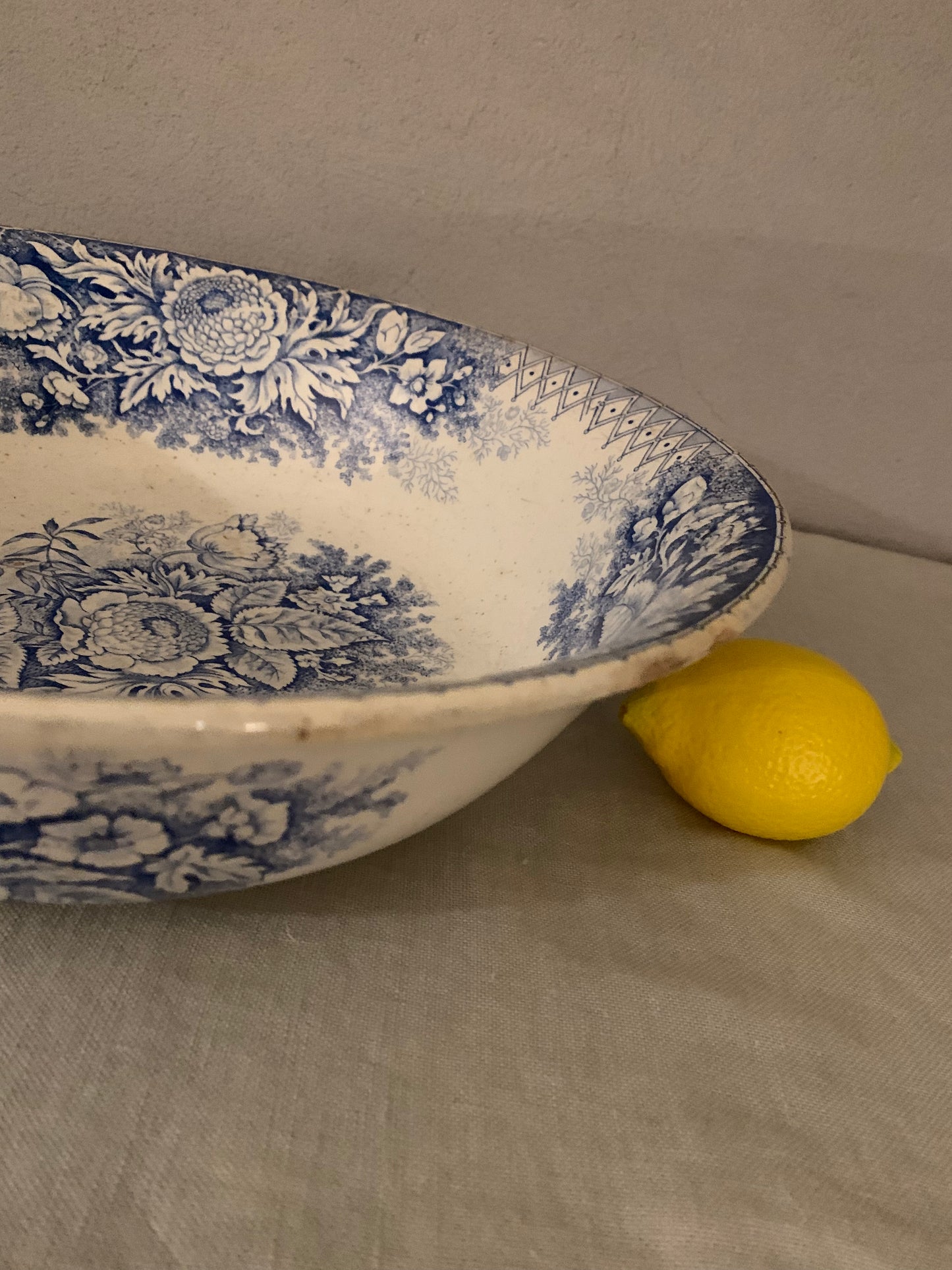 Salad Bowl