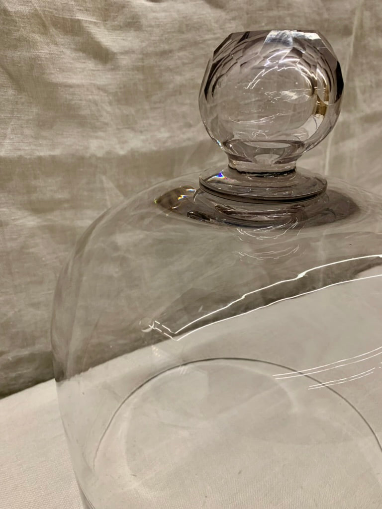Glass Dome - Cloche