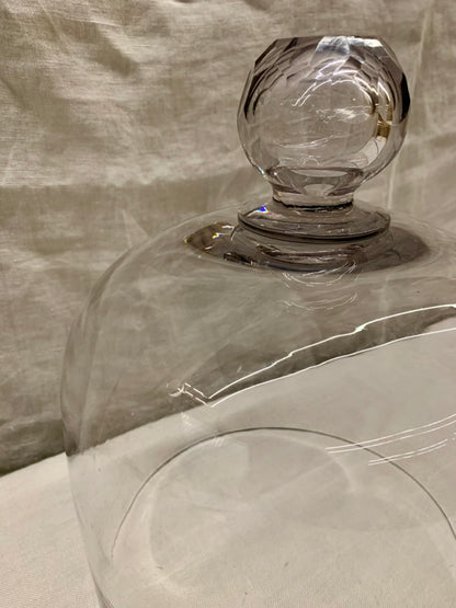 Glass Dome - Cloche