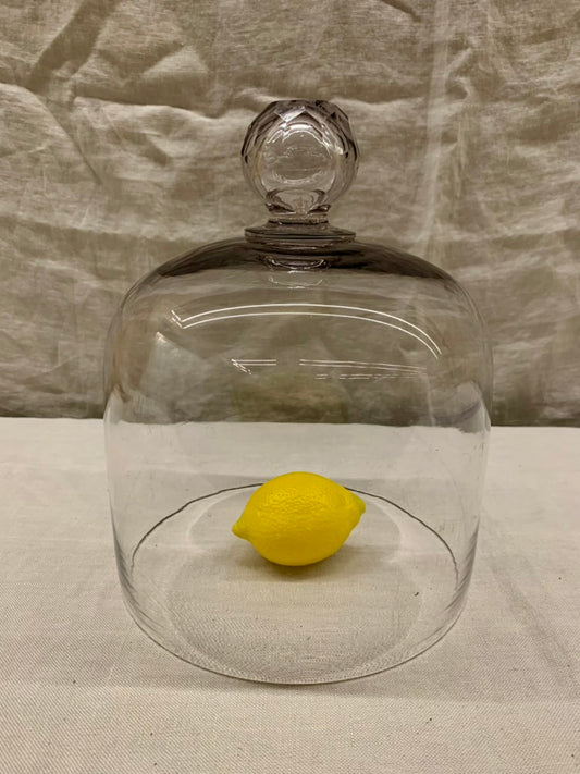 Glass Dome - Cloche