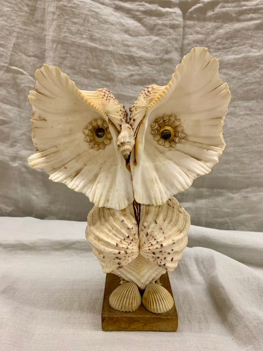 Seashell Owl