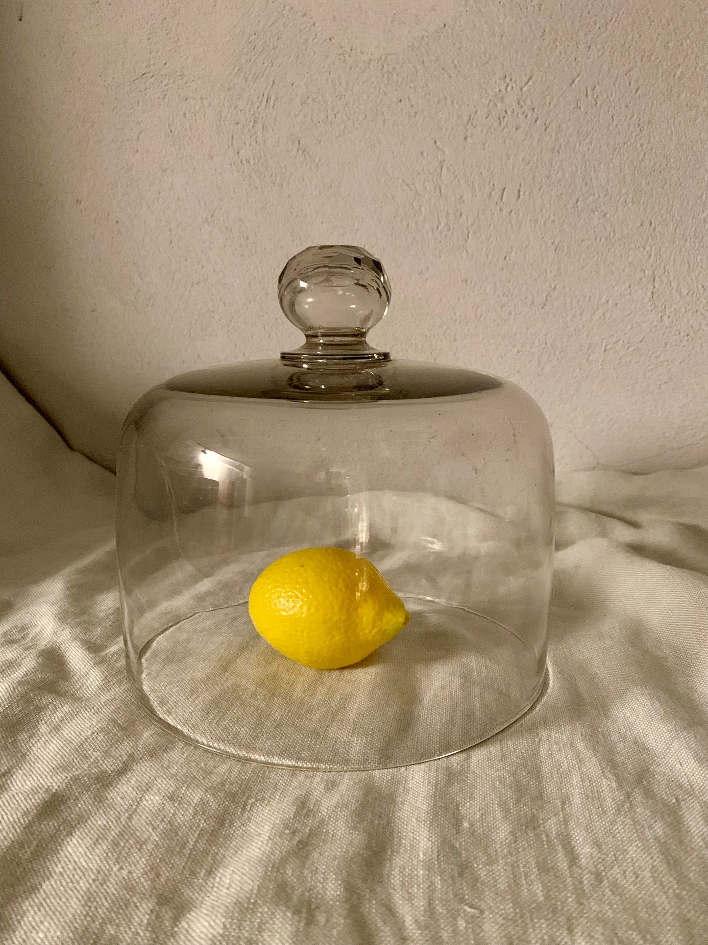 French Laboratory Glass Dome