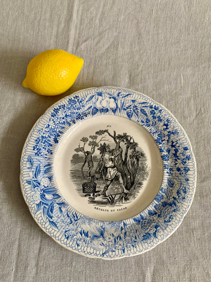 Antique French Fruit Plate
