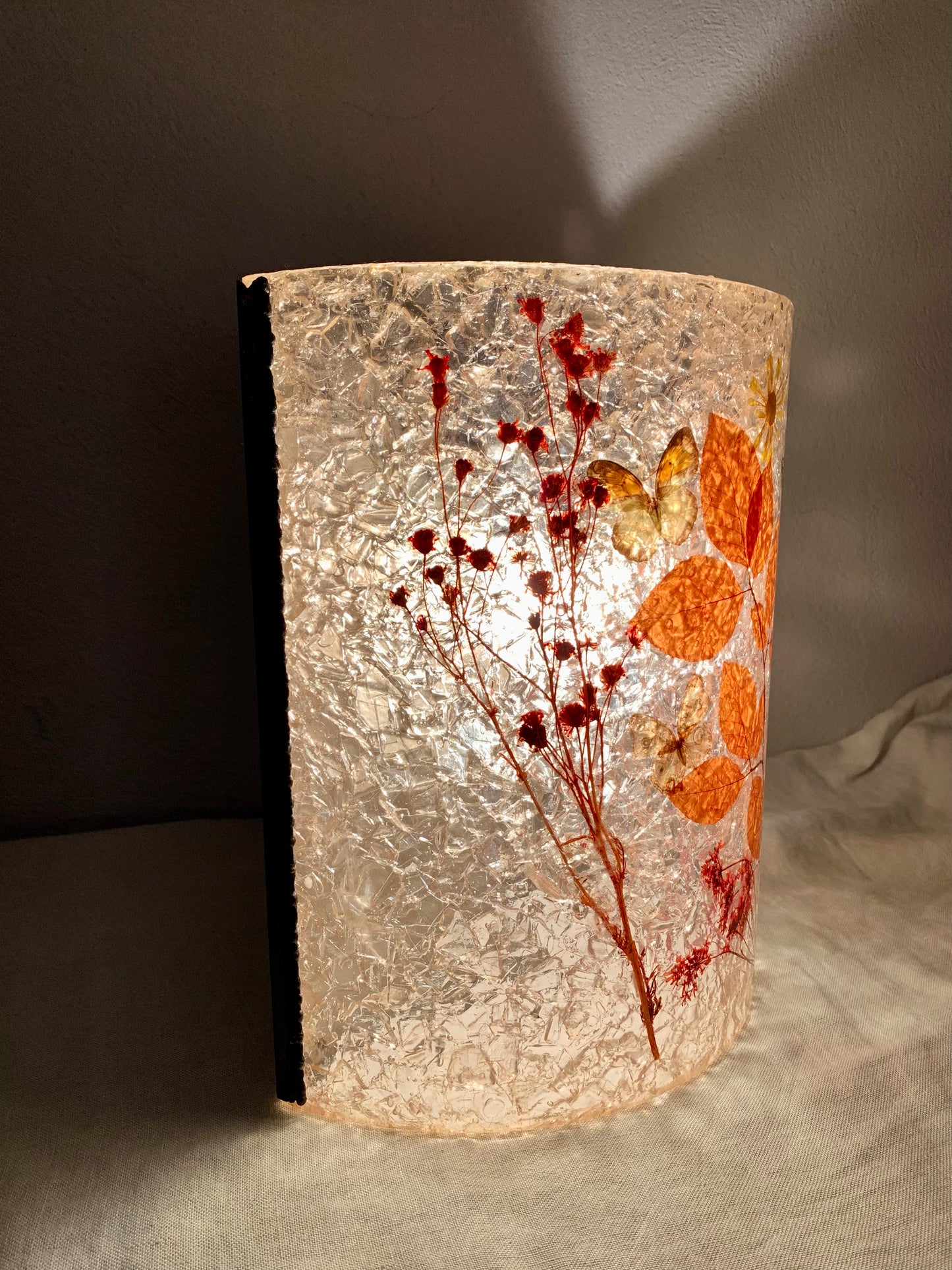 1960-1970s Resin Wall Lamp