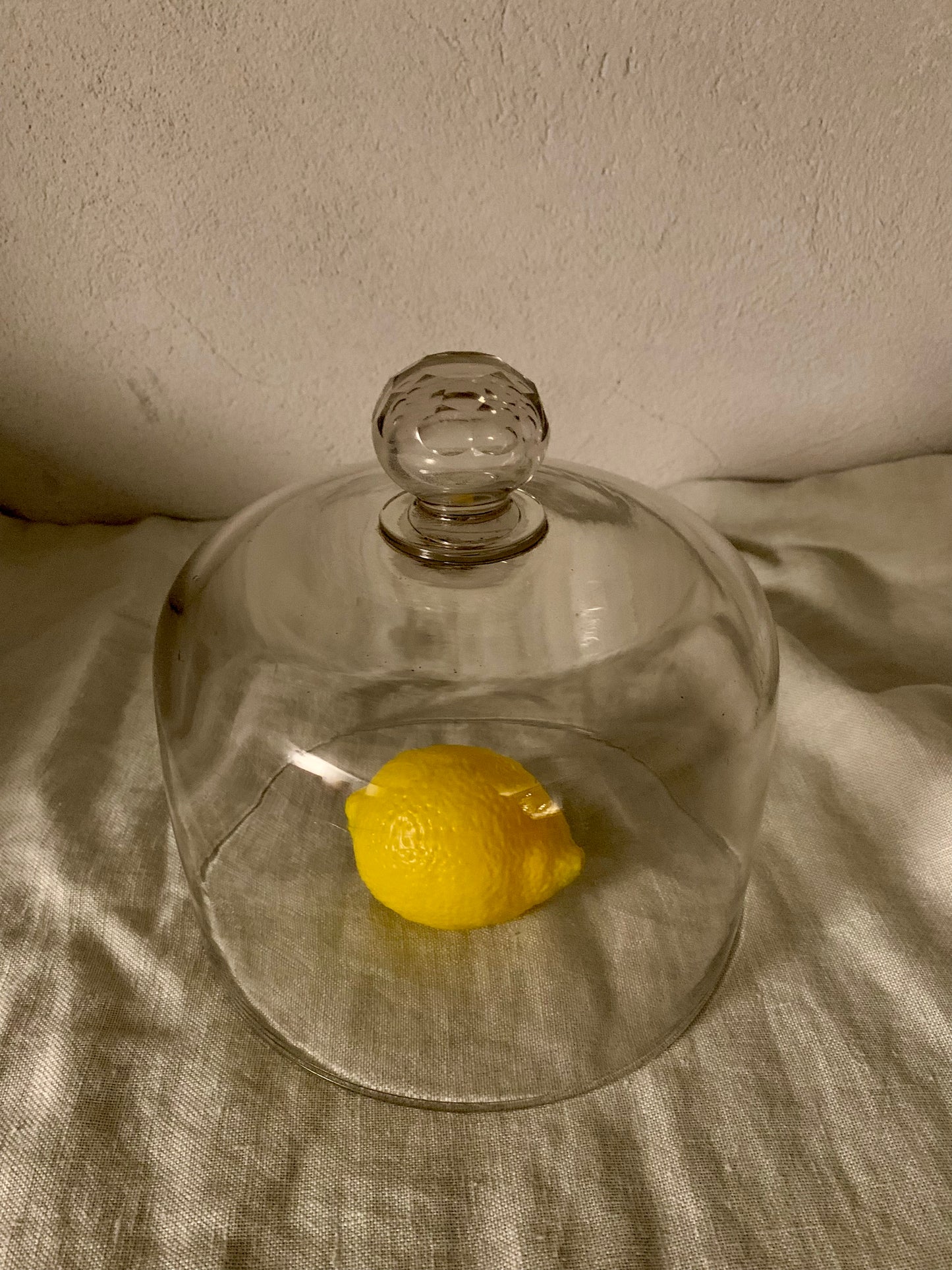 French Laboratory Glass Dome