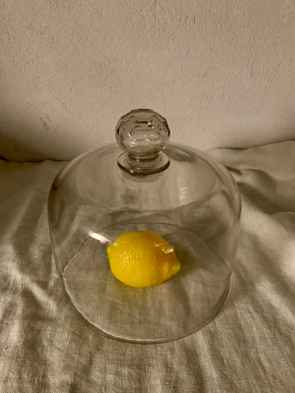 French Laboratory Glass Dome