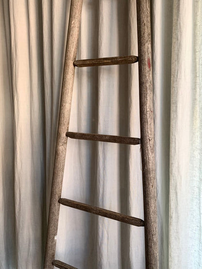 Ladder